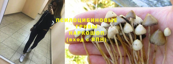 прущий лед Аркадак